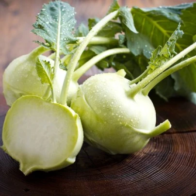 Kedluben extra jemný - Brassica oleracea - semena - 50 ks
