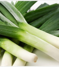 Pór zimní zelenomodrý - Allium porrum - semena - 600 ks