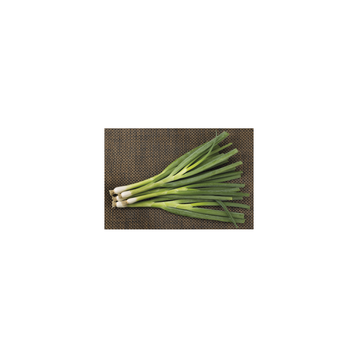 Cibule svazková Freddy - Allium fistulosum - semena - 0,5 g