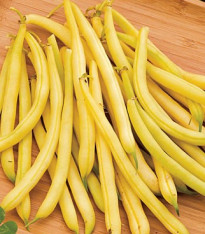 Fazole keříčková Hildora - Phaseolus vulgaris L. - semena - 10 g
