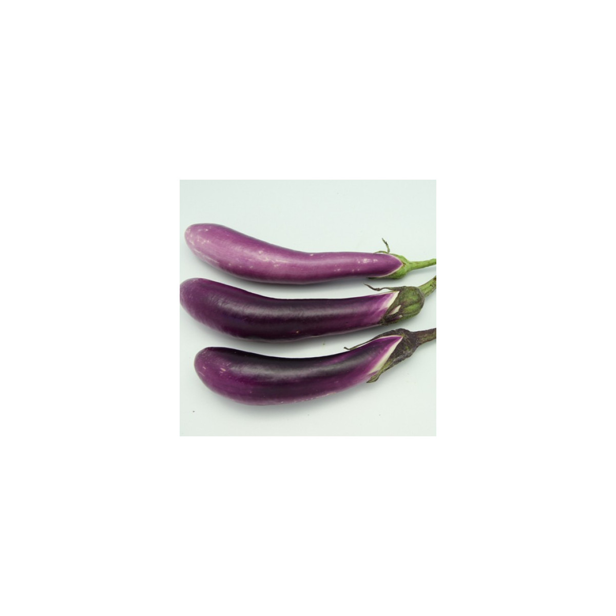 Lilek Pingtung - Solanum melongena - semena - 6 ks