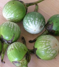 Lilek Zelený tygr - Solanum melongena - semena - 6 ks