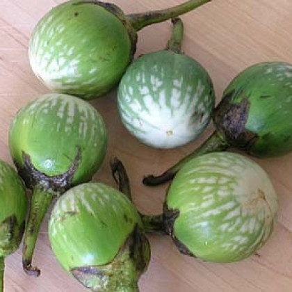 Lilek- Baklažán - Zelený tygr - semena - 6 ks - Solanum melongena