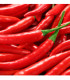 Chilli Kajenský pepř Thick - Cayenne peper - semena - 6 ks