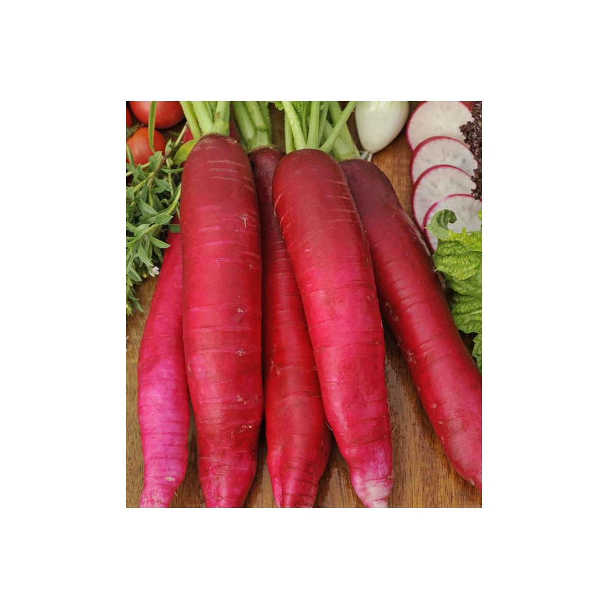 BIO ředkev Ostergruss Rosa 2 - Raphanus sativus - bio semena - 0,3 g