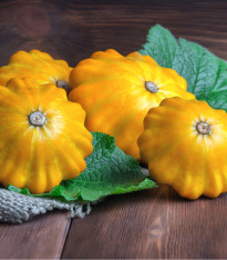 Patizon Golden Marbre - Cucurbita pepo - semena - 5 ks