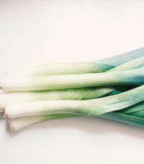 Pór zimní D´Elbeuf - Allium porrum - semena - 200 ks