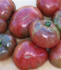 Rajče Carbon - Solanum lycopersicum - semena - 6 ks