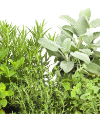 Aromatické byliny a koření - směs - semena - 0,5 g