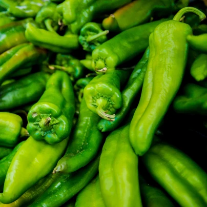 Chilli Anaheim - Capsicum annuum - semena - 6 ks