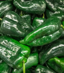 Chilli Poblano - Capsicum chinense - semena - 6 ks
