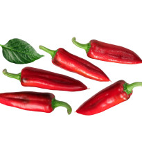 Paprika kořeninová hodonínská - Capsicum annuum - semena - 90 ks