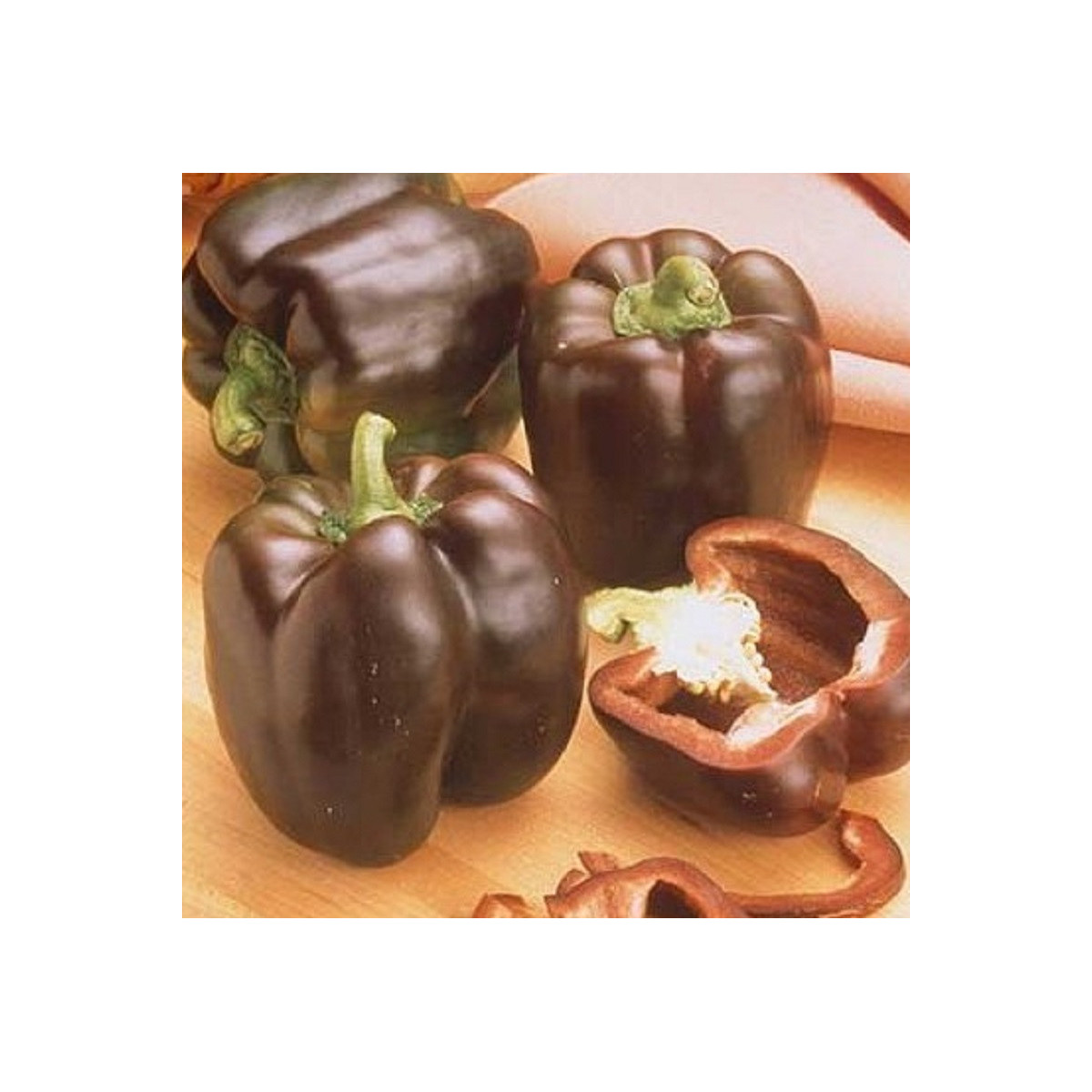 Paprika Hnědá Kráska - Capsicum annuum - semena - 9 ks