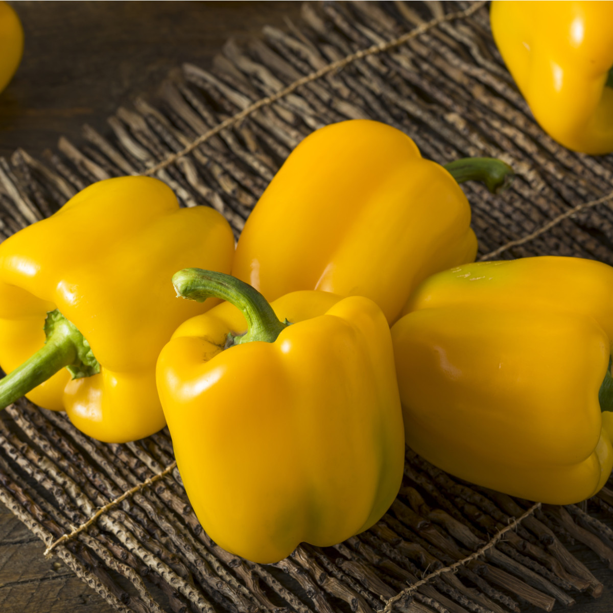 Paprika Gemini F1 - Capsicum annuum - semena - 10 ks