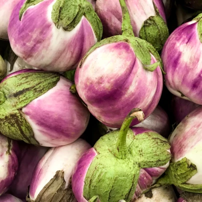 Lilek - Baklažán Rosa Bianca - Solanum melongena - semena - 6 ks