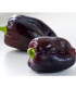 Paprika fialová Oda - Capsicum annuum - semena - 9 ks