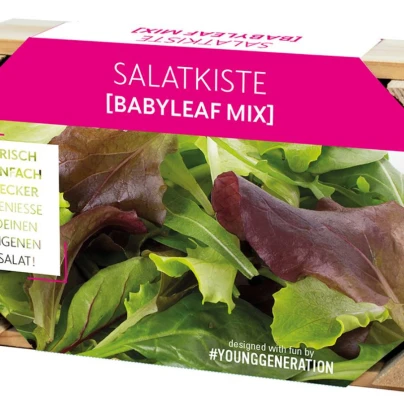 Pěstební sada na saláty s dřevěným květináčem – 1 ks
