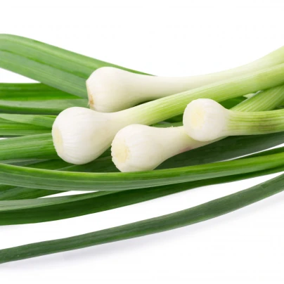 Pór Megaton F1 - semena - 10 ks