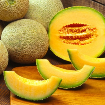 Meloun Cantaloupe - semena melounu - Cucumis melo - 5 ks