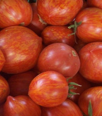 Rajče Červená zebra - Lycopersicon Esculentum - semena - 6 ks