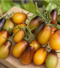Rajče Indigo Pear Drops - Solanum lycopersicum - semena - 5 ks