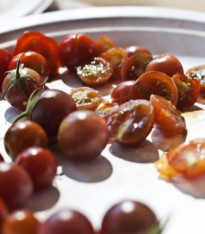 Rajče Brown Berry - Solanum Lycopersicum - semena - 7 ks