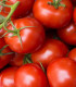 BIO Rajče Matina - Solanum lycopersicum - bio semena - 15 ks