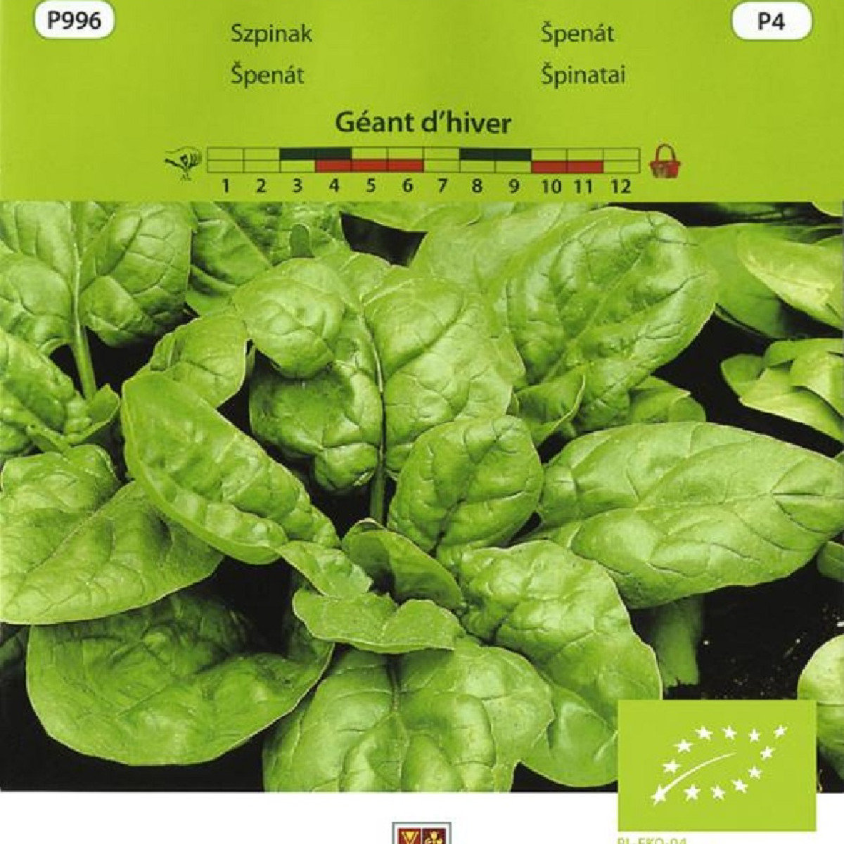 BIO Špenát Geant d'hiver - Spinacia oleracea - bio semena - 10 g