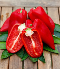 Paprika Snacking Red F1 - Capsicum annuum - semena - 5 ks