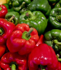 BIO Paprika Yolo Wonder - Capsicum annuum - bio semena - 10 ks