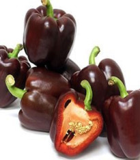Paprika Babybell Chocolate - Capsicum annuum - semena - 8 ks