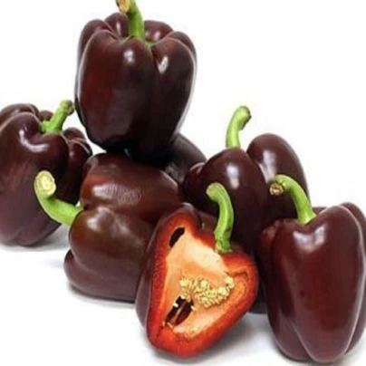 Paprika Babybell Chocolate - Capsicum annuum - semena - 8 ks