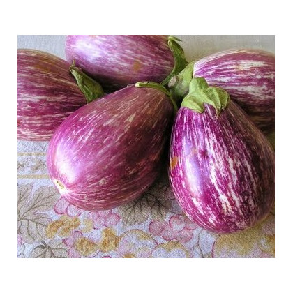 Lilek Listada de Gandia - Solanum melongena - semena - 7 ks
