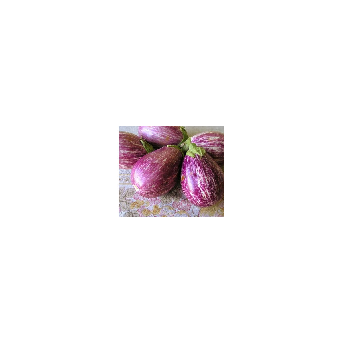 Lilek Listada de Gandia - Solanum melongena - semena - 7 ks