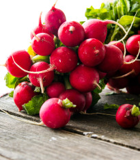 Ředkvička Parat - Raphanus sativus - semena - 100 ks