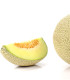 Meloun Galia Exelor F1 - Cucumis Melo - semena - 5 ks