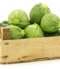 Tykev Cue Ball F1 - Cucurbita pepo - semena - 5 ks