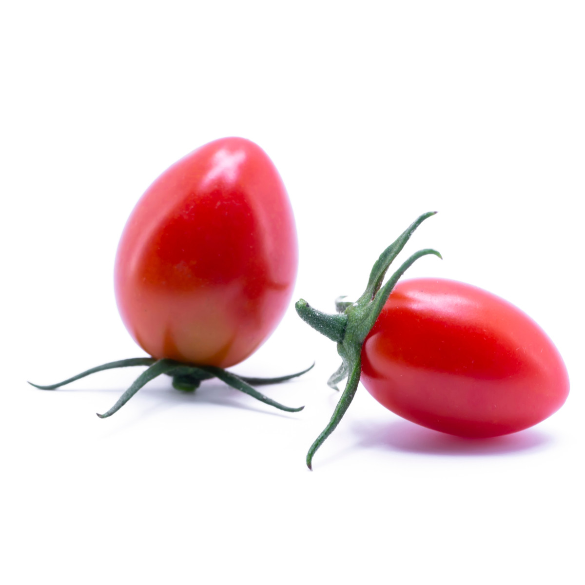 Rajče Roma - Solanum lycopersicum - semena - 65 ks