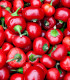 Chilli Large Red Cherry Hot - Capsicum annuum - semena - 7 ks