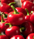 Chilli Cherry Bomb - Capsicum annuum - semena - 6 ks