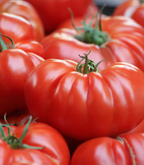 Rajče Soldaki - Lycopersicon Esculentum - semena - 7 ks