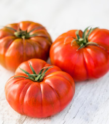 Semena rajčete – Rajče Brandywine červené – Solanum lycopersicum
