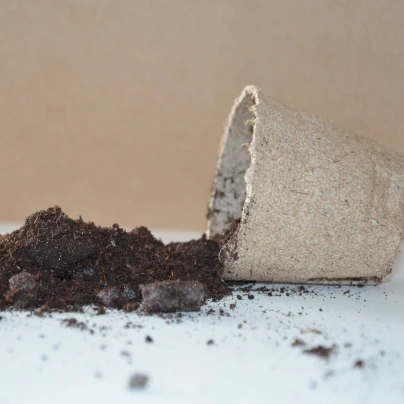 Substrát pro semena jehličnanů - substrát pro jehličnany - 100 g