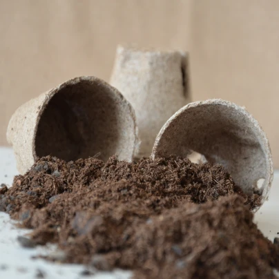 Substrát pro bambusy pěstované ze semen - 100 g