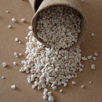 Perlit - pro klíčení ze semen - balení pro 3 - 5 semen - 0,05 l