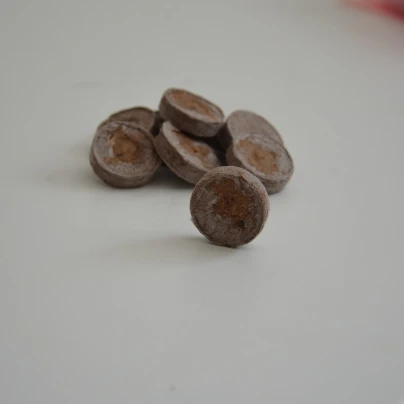 Sadbovací tablety - Jiffy - 33 mm - 10 ks