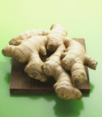 Zázvor - Zingiber - prostokořenné sazenice - 1 ks