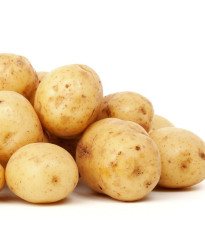 Sadbové brambory Carrera - Solanum tuberosum - žluté velmi rané - 5 kg