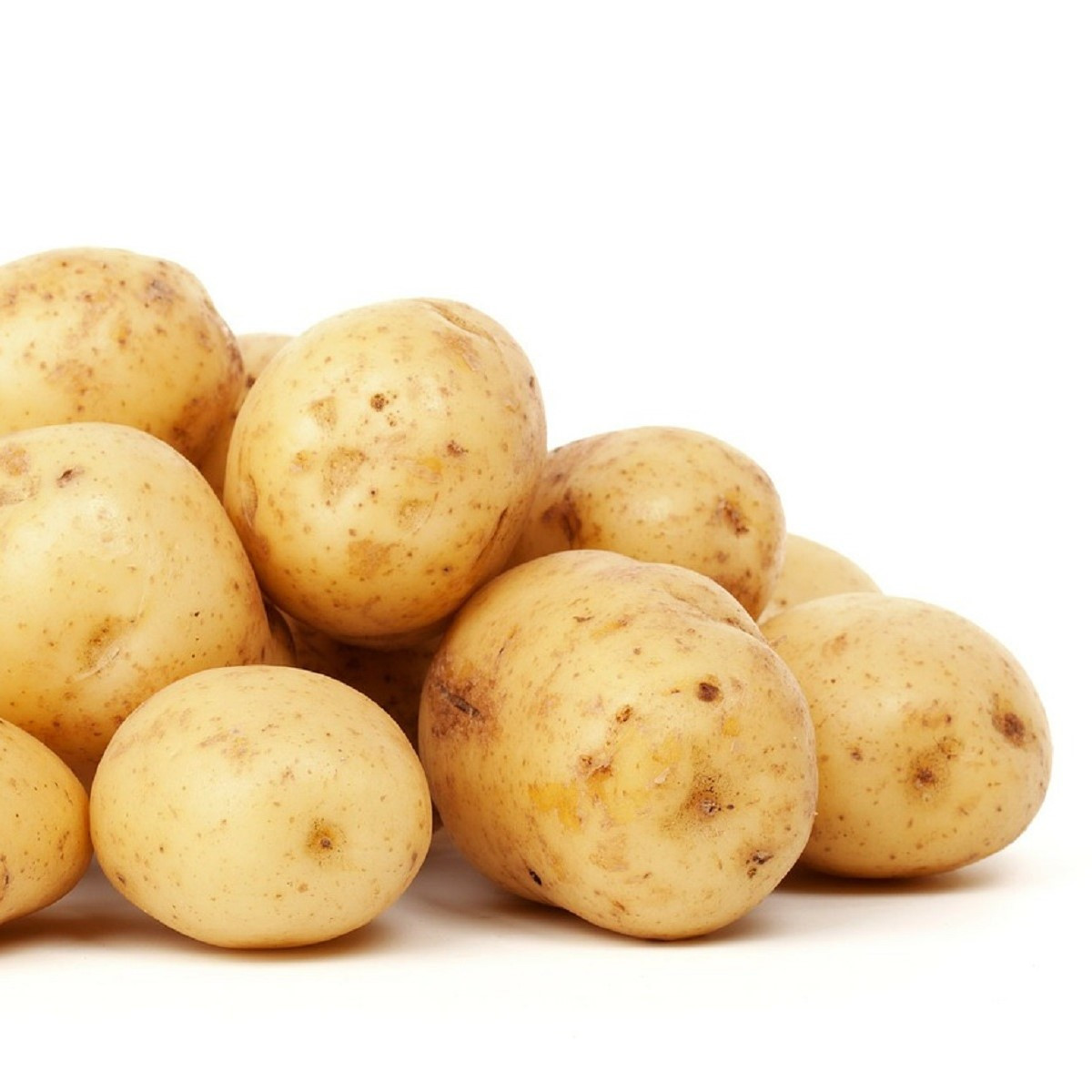 Sadbové brambory Carrera - Solanum tuberosum - žluté velmi rané - 5 kg