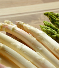 Chřest Thielim - Asparagus officinalis - prostokořenné sazenice - 1 ks